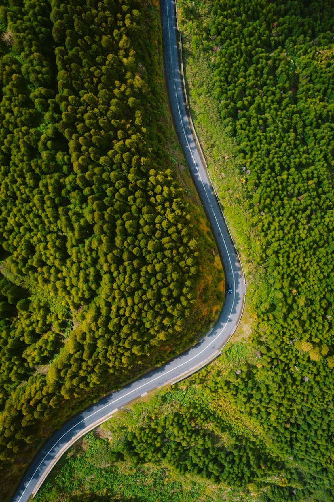 The Concept of Destiny and Free Will in Islam: Exploring the Belief in Qadar